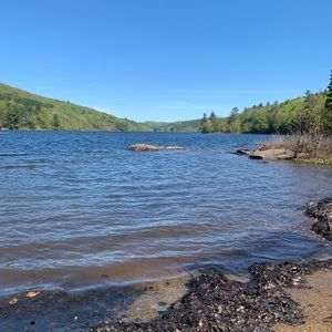 Meet your Posher, Benjamin